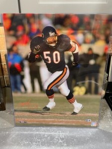 Mike Singletary Autographed Chicago 16x20 Football Photo Orange Ink - BAS