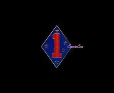 USMC 1st Marine Division + a custom promo pin 