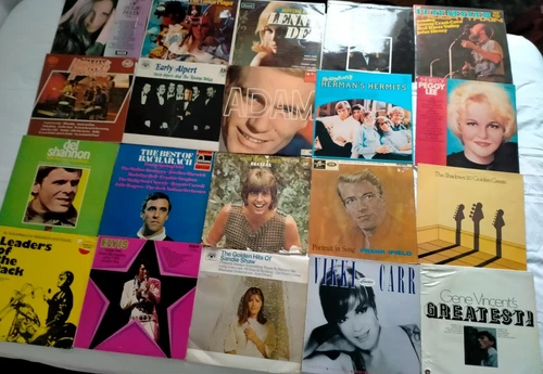 JOB LOT 20 50s & 60s ROCK'N'ROLL & POP VINYL LP's Elvis Gene Vincent Sandie Shaw