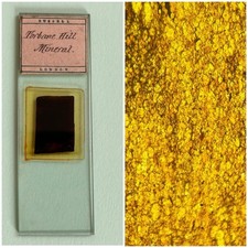  on The Hot Collector