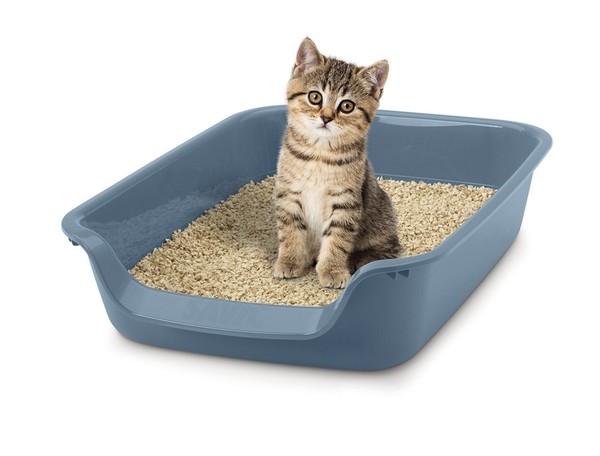 Nobby Katzentoilette Junior FüR Welpen Kitten Alte Katzen Katzenklo Hund Katze-image