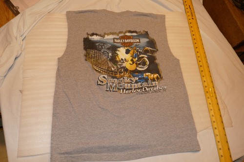 Harley Davidson Men's Medium M Tee shirt grey Smoky Mountains Guitars Sleeveless - Picture 11 of 12