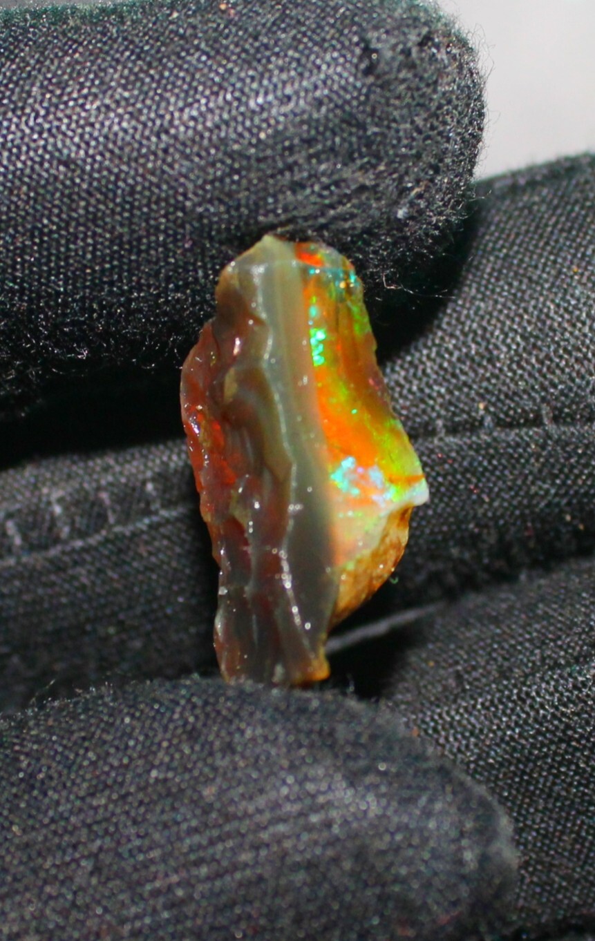 Picture 3 of 3