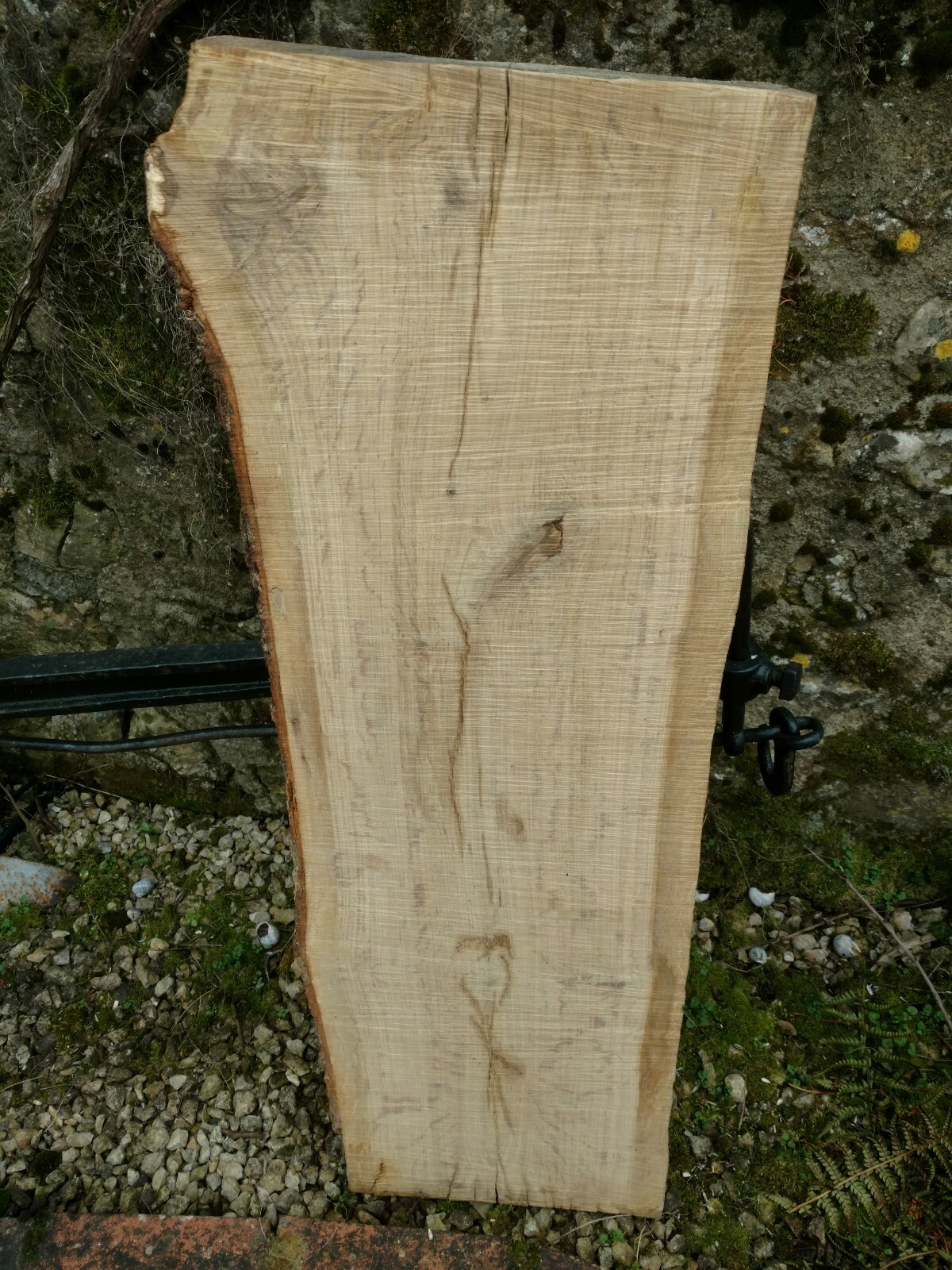 Planche de bois live edge pour remplacer un plan de travail de cuisine standard