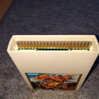 Sega Mark III Villainous Alliance Dump Matsumoto Women's Pro