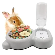 Double Pet Feeder Bowl with Automatic Water Dispenser Bottle for Cats and Dogs