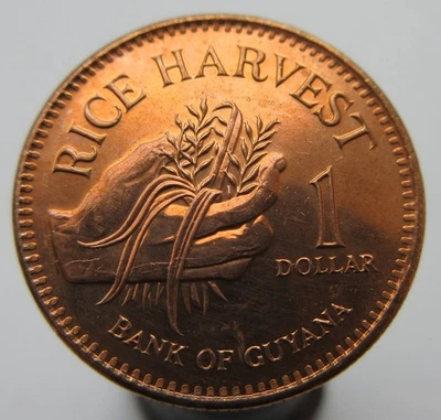 Nr 5573 Guyana 1 Dollar 2005, KM# 50 geraltttt83 - Image 1 of 2