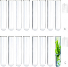 16 Pcs Clear Test Tubes for Plant Propagation 30Ml Large Glass Test Tube Bottom