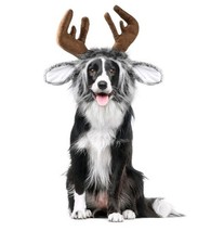 Adorable Moose Dog Costume Size Medium New No Tags