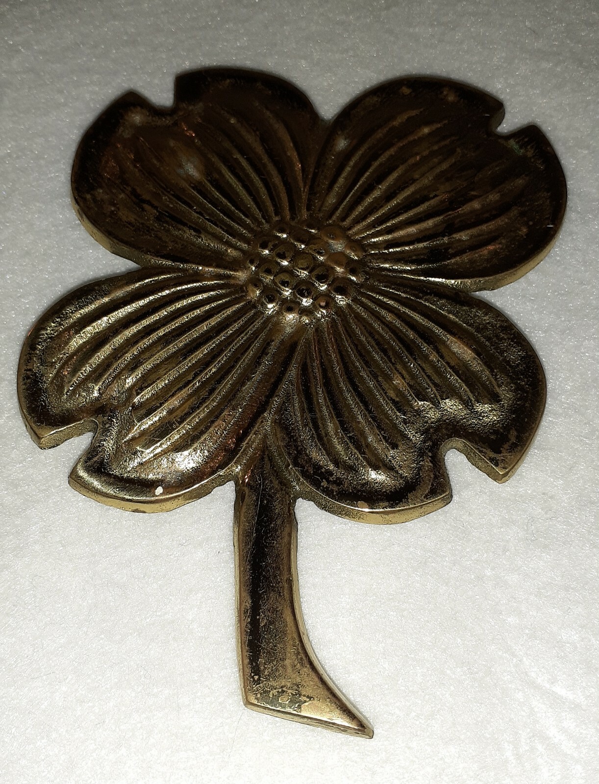 Picture 4 of 11