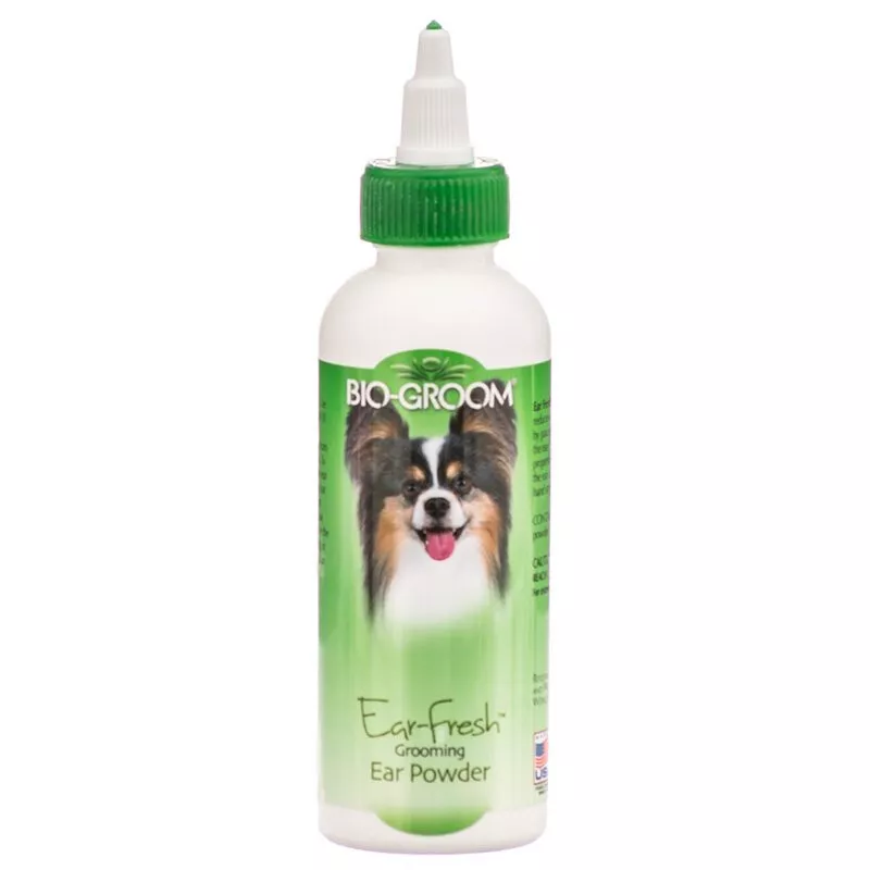 Dog 2025 grooming powder