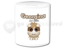 Personalised Ceramic Money Box- Guinea Pig Design