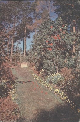 Inverewe Gardens ''Friedensplot'' Postkarte Ross-shire Schottland Wm S Thomson