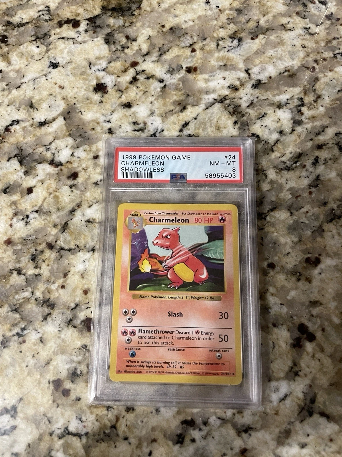 1999 Pokemon TCG Charmeleon Base Set Shadowless #24/102 PSA 8