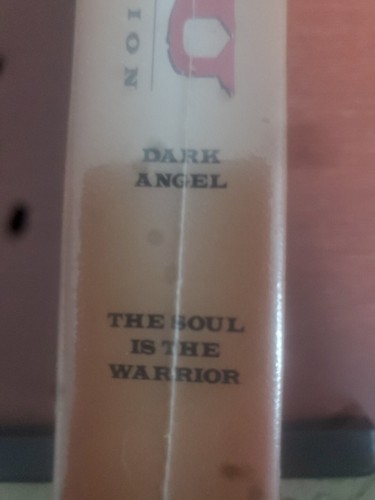 Kung Fu, Vhs. The Collectors Edition, Dark Angel, The Soul Is The Warrior - Picture 2 of 2