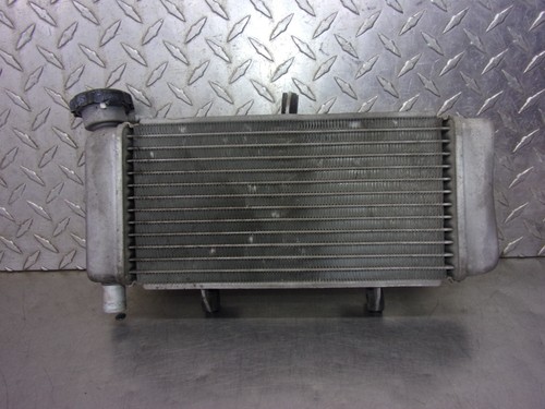 1000 B HONDA CB 300F 2015 OEM RADIATOR