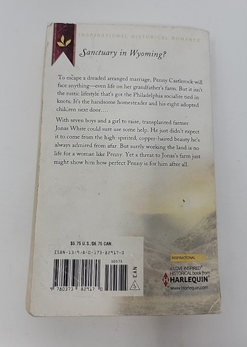 The Homesteader's Sweetheart (Love Inspired Historical) By Williams, Lacy - - Picture 5 of 17