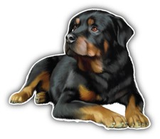 Rottweiler Dog Car Bumper Sticker Decal