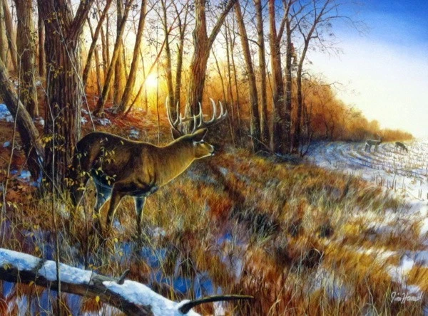 Passing the Buck Deer Hunting Art Print By Jim Hansel Image Size 16" x 12"  | eBay