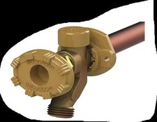 1PC Woodford 19CP-10 Model 19 Freezeless Anti-Siphon Wall Faucet, 1/2" MPT