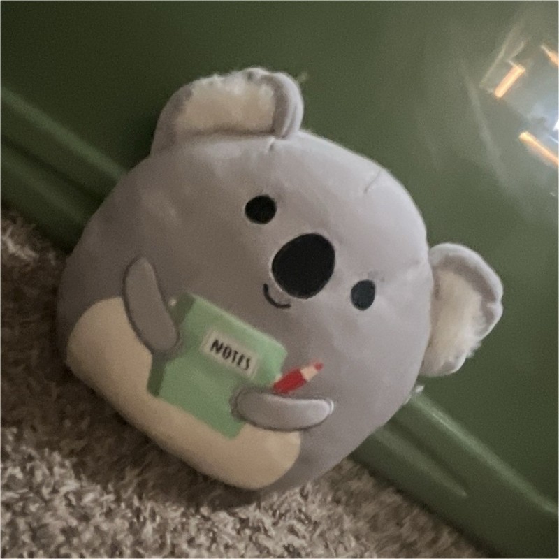 Squishmallows Gray Koala Plush Doll Holding Notebook, Mini, Washable, 2021