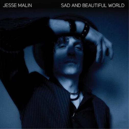 Jesse Malin Sad and Beautiful World (Vinyl LP) 12" Album