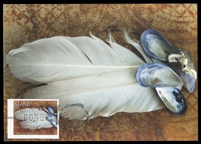 ALAND 2015 Maximum Card ATM Hallazgos en la playa beach findings feather mussel