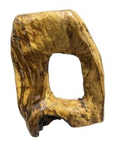 Natural Cypress Wood Hole Sculpture 12.5   Organic Modern Burl Decor