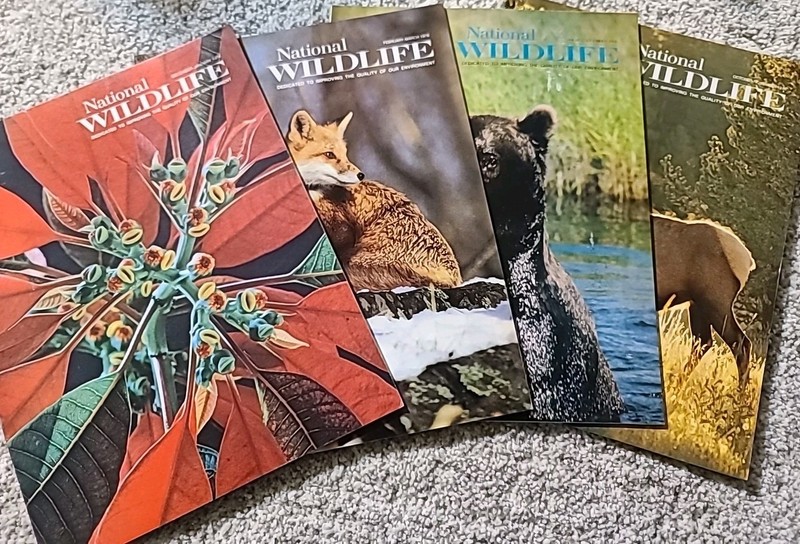 National Wildlife Magazine – 1976 Lot of 4 (Dec/Jan, Feb/Mar, Aug/Sept, Oct/Nov)