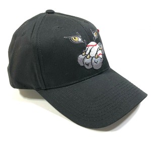 curved brim baseball hat