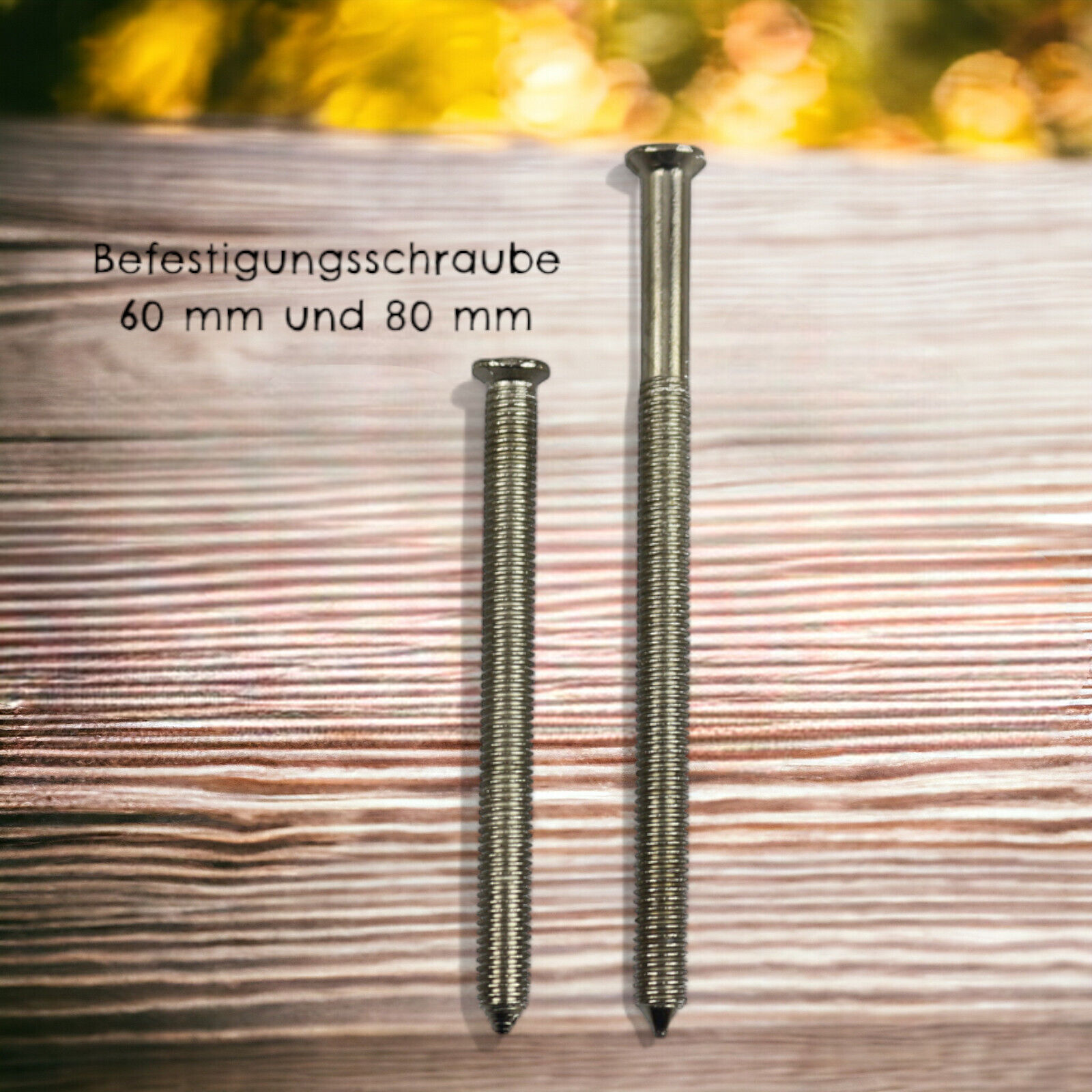 Bild 6 von 6