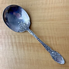 Alvin Patent Silver Plate Rose Pattern Patina Lovely  9" inch Serving Spoon