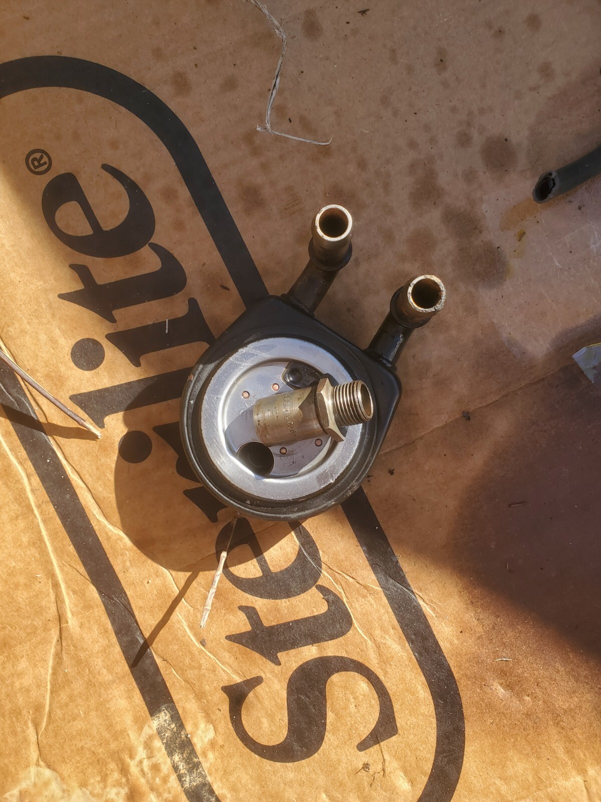 0004 Focus SVT ST170 OEM 2.0L DOHC Zetec oil cooler eBay