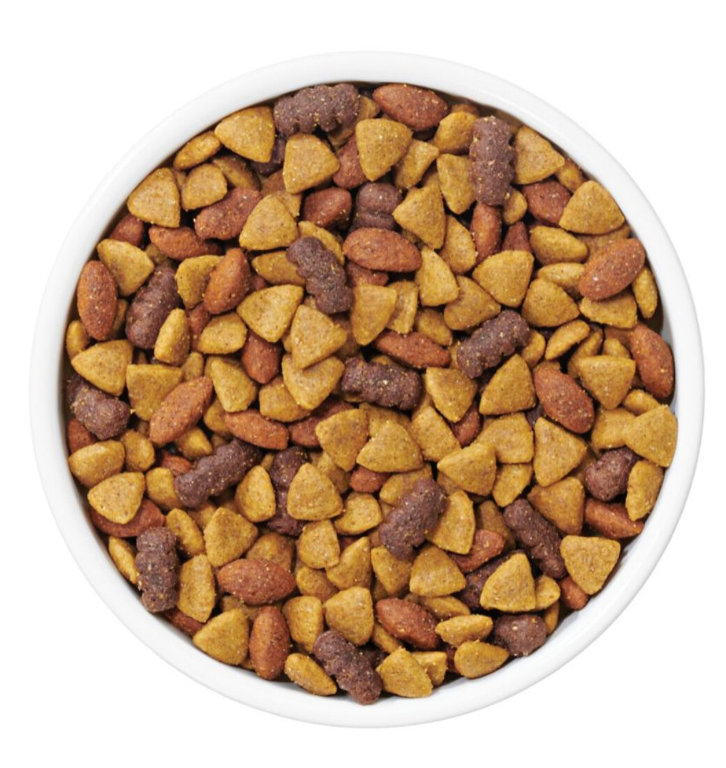 Purina 17800100328 Dog Chow Complete Adult Dry Dog Food Kibble Beef