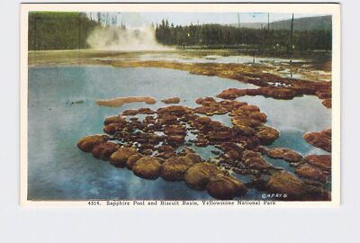 PPC Postcard National State Park Yellowstone Sapphire Pool Biscuit Basin #3