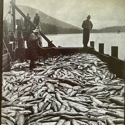 Antique 1910 Salmon Fishermen Columbia Oregon Glass Positive Lantern Slide V3019