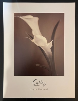 Laurie Eastwood ''Callas'' Floral Art Print Lily Flower Poster Wall Decor