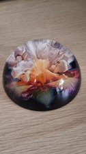 Paperweight -Glass flower Dome - Heavy  Home design decor - Gift Office DANISH