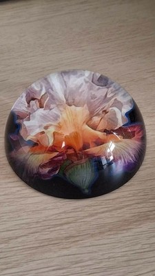 Briefbeschwerer - Glasblumenkuppel - schwere Wohndeko - Geschenk Büro DÄNISCH