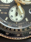 Foto 11 di 11