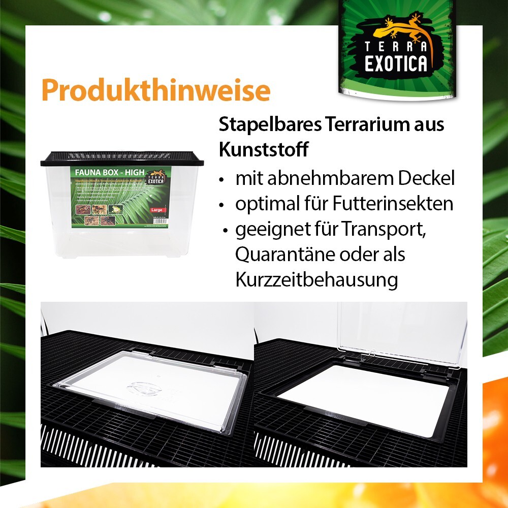 Bild 5 von 6