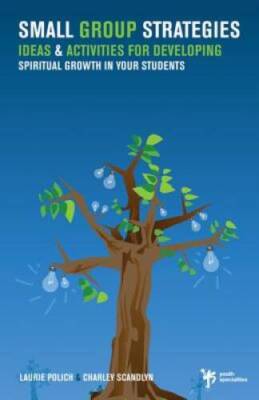 Small Group Strategies: Ideas and Activities for Developing Spiritual Gro - GOOD