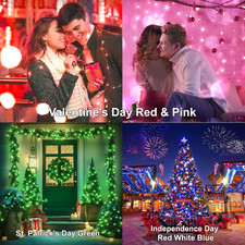 Color Changing Fairy String Lights, 33Ft 100 LED Twinkle Lights with Remote  Ti