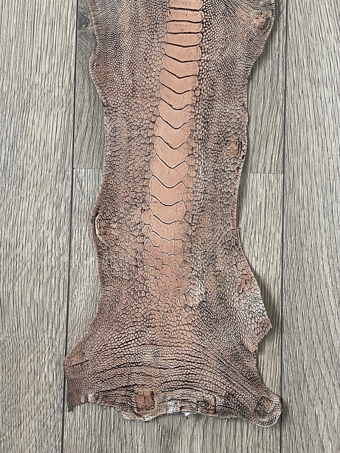 Picture 5 of 5
