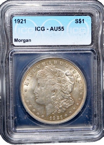旧メダル TA113 1921 AU MORGAN DOLLAR VAM 24A3 Die Break U & N & NE, Pitted
