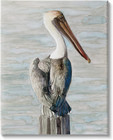 Long Beak Pelican Watercolor Painting Coastal Waterfowl Bird, Design by Stellar