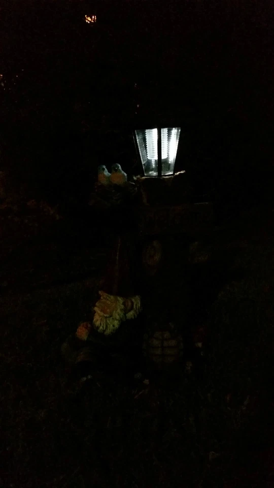 DRAGON WITH SOLAR LIGHT STATUE SOLAR DRAGON Statue FIGURINE - Image 2 of 4