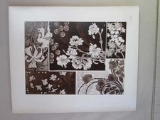 Vintage Print,ART NOUVEAU FLORALS,18,Jean Pilters,Florales,c1900
