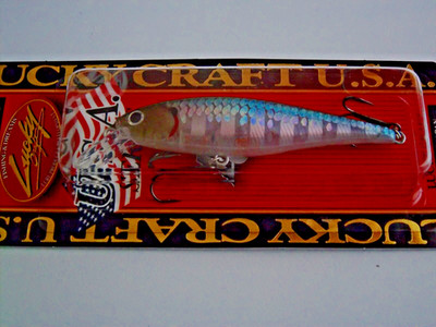 LUCKY CRAFT POINTER 78SP 3/8OZ PT78SP-722 IN ZEBRA MS GHOST MINNOW COLOR- E2227