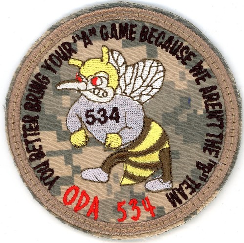 US ARMY PATCH: ODA 534 Special Forces Green Beret SF Theater Made 5th SFG